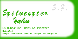 szilveszter hahn business card